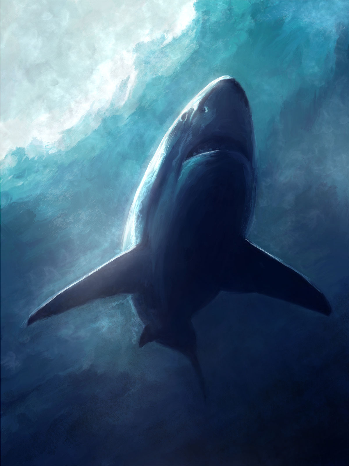 The Shark Artwork